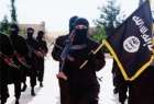 ​حکم زندان برای شهروندان روسی عضو داعش