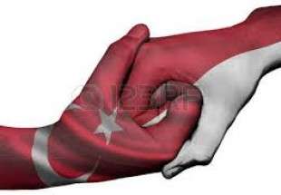 انڈونیشیا نے بھی ترکی کی حمایت کا اعلان کردیا