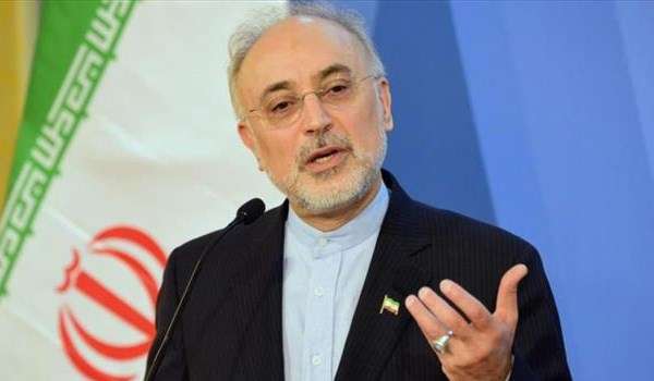 صالحي يؤكد استعداد ايران لدعم مسیرة السلام والاستقرار في افغانستان