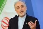 صالحي يؤكد استعداد ايران لدعم مسیرة السلام والاستقرار في افغانستان