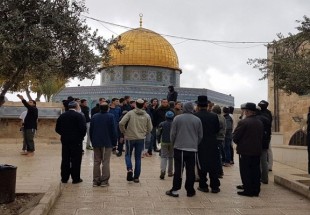 ​ورود 80 شهرک نشین صهیونیست به مسجد الاقصی/بازداشت 11 فلسطینی در کرانه باختری