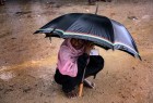 Rohingya Muslims struggle against famine as world watches silently  <img src="/images/picture_icon.png" width="13" height="13" border="0" align="top">