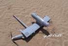 یک هواپیمای جاسوسی عربستان در ساحل غربی یمن سرنگون شد