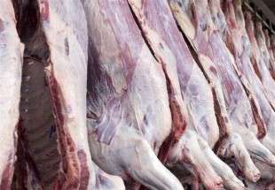 ​قیمت گوشت گوسفند و گوساله در میادین و بازارهای میوه و تره بار اعلام شد