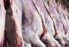 ​قیمت گوشت گوسفند و گوساله در میادین و بازارهای میوه و تره بار اعلام شد