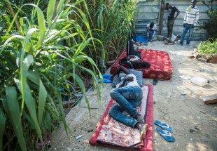 Les migrants se cachent pour éviter les déplacements forcés
