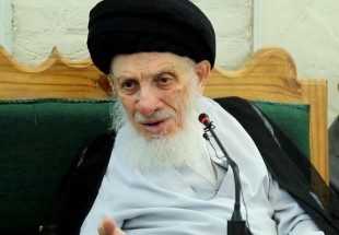 المرجع السيد الحكيم يستذكر نهضة الإمام الحسين (عليه السلام) وآثارها الإيجابية في المجتمع الإسلامي
