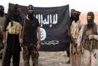 ​سر بریدن چهار عراقی در دیالی به دست تروریست های داعش