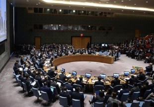 UN Security Council to convene on Idlib, Tehran summit