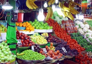 ​صادرات میوه وسبزی متوقف شد/احتمال ازبین رفتن ۱۲۲ کانتینر محصول
