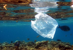 پلاستیک‌ها چند سال در محیط زیست باقی می‌مانند؟/کره خاکی یا پلاستیکی؟