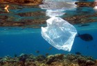 پلاستیک‌ها چند سال در محیط زیست باقی می‌مانند؟/کره خاکی یا پلاستیکی؟