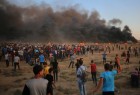 3 شهداء و 248 مصاباً برصاص الاحتلال الإسرائيلي شرق قطاع غزة