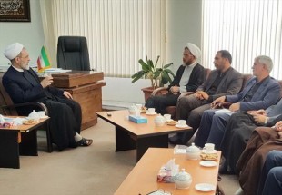 دیدار رئیس کمیسیون فرهنگی مجلس شورای اسلامی با آیت الله اعرافی