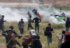 Palestinian man killed, scores injured in anti-occupation protests