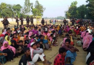 ​واکنش دیرهنگام آمریکا به کشتار مسلمانان روهینگیا