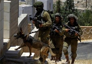 العدو الاسرائيلي ينفذ حملة اعتقالات في الضفة الغربية المحتلة
