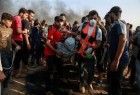 Israeli forces kill 7 Palestinians, injure over 500 in Gaza
