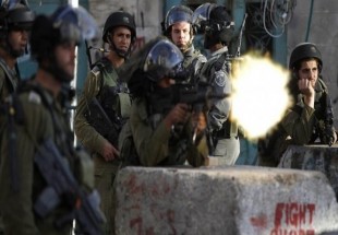 شهادت 26 شهروند فلسطینی طی ماه سپتامبر