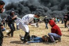 Israeli forces target Gaza border protesters, injure over 50