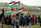 فراخوان شرکت در راهپیمایی بازگشت جمعه آینده در فلسطین