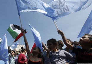 UNRWA: 13 Palestinian students killed by Israel in Gaza since March