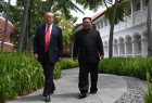 Trump to meet Kim Jong-un after midterm election