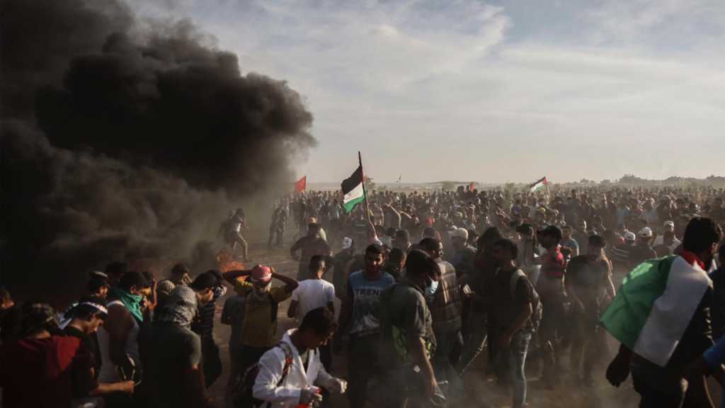 عشرات الشهداء والجرحى برصاص الاحتلال على حدود قطاع غزة