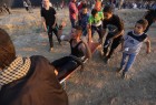 Palestinian protesters killed in Gaza(2)  <img src="/images/picture_icon.png" width="13" height="13" border="0" align="top">