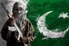 چرا خاک پاکستان برای تروریست ها امن است؟
