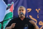 الهيئة الوطنية تدعو للمشاركة في جمعة "غزة صامدة وما بتركعش"
