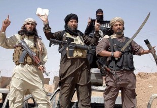 Daesh militant buries himself alive escaping Iraqi security