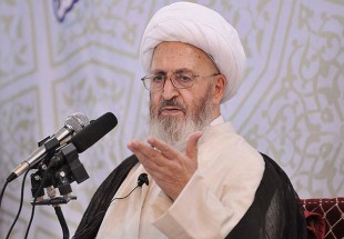Shia jurisprudent hails Arba’een as global ‘unparalleled’ convention