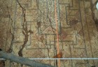 العثور على لوحة فسيفسائية تعود إلى عام 412 ميلادي بريف حماة الغربي