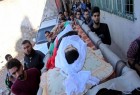 شهادت 5 فلسطینی و زخمی شدن ده ها نفر دیگر در هفته گذشته/جلسه کابینه امنیتی دولت رژیم صهیونیستی در مورد غزه