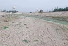 خبير عراقي: الجفاف سيدفع الملايين للهجرة نحو وسط وشمال البلاد