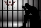 زندانیان غیرعمد| حبس طلبه چوپان به خاطر عدم مراقبت از سگ گله