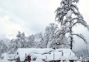 سليمي : 7 محافظات في ايران تواجه الثلوج والصقيع