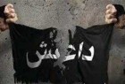 بازداشت یک سرکرده بارز داعشی-صدامی