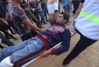 Dozens injured in 33rd week of Gaza protests  <img src="/images/picture_icon.png" width="13" height="13" border="0" align="top">