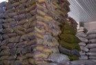 ​صادرات برنج به اروپا در شرایط تحریم عاقلانه است؟