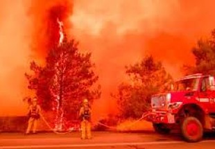 کیلی فورنیا میں لگنے والی آگ کے باعث جانی نقصان میں اضافہ