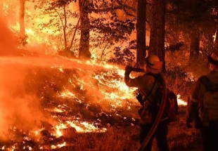 ارتفاع عدد قتلى حرائق غابات كاليفورنيا إلى 66 شخصاً