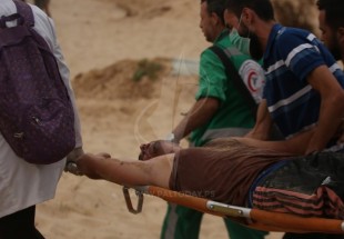 ثلاث اصابات  برصاص الاحتلال في مخيم ملكة شرق غزة