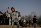 غزَّة تُقاتِل حتى لا تمرّ صفقة القرن وتختم القضية بالشمع الأحمر