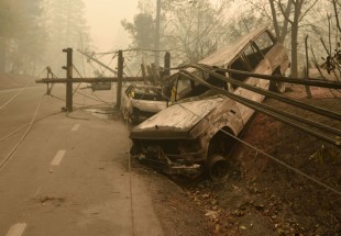 ارتفاع عدد ضحايا حرائق غابات كاليفورنيا إلى 80 شخصا