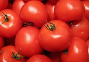الطماطم.. هكذا يمكن أن تشكل خطرا على صحتك