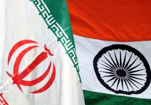 مركز دراسات ايراني: مستعدون لاعداد موسوعة حول المشتركات الحضارية بين ايران والهند
