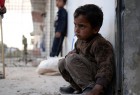 3 000 enfants yazidis sont toujours dans les mains de Daech