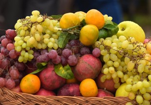أدلة جديدة على فوائد الخضراوات والفاكهة للصحة العقلية